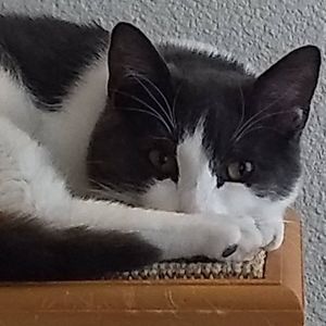 Meet your Posher, Tammy